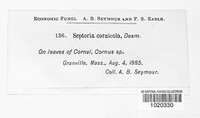 Image Associated With the Occurence